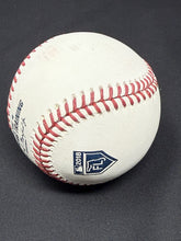 Load image into Gallery viewer, 45000833