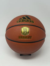 Load image into Gallery viewer, 45010616