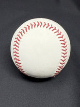 Load image into Gallery viewer, 45000833