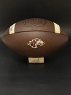 SIU - Southern Illinois University Salukis Game Used Wilson GST NCAA Football